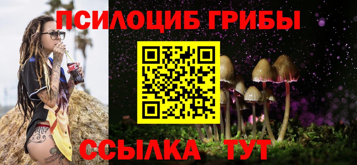 Саки  Псилоцибиновые грибы GOLDEN TEACHER  Галлюциногенные грибы Psilocybe  Вход с VPN 