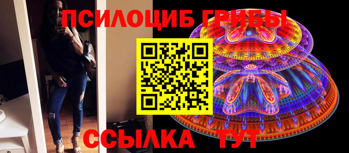 Галлюциногенные грибы Psilocybine cubensis Саки