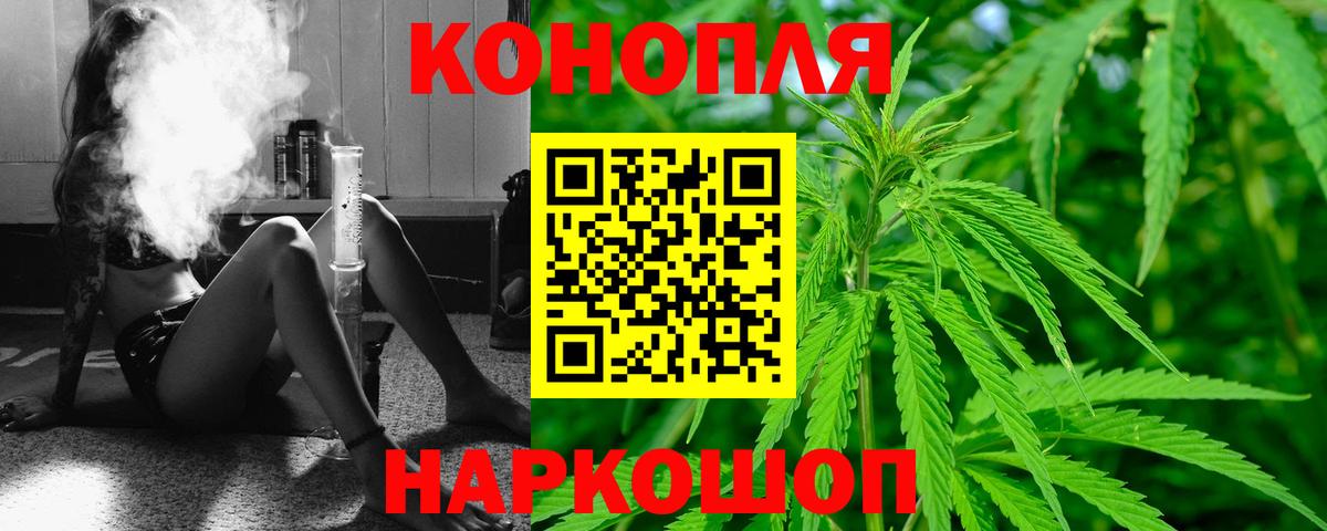 Бошки Шишки планчик Саки